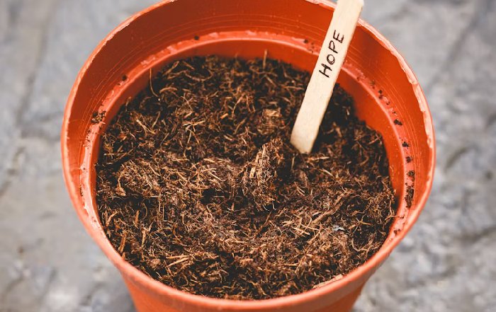 Article Image for A Beginner's Guide to Composting