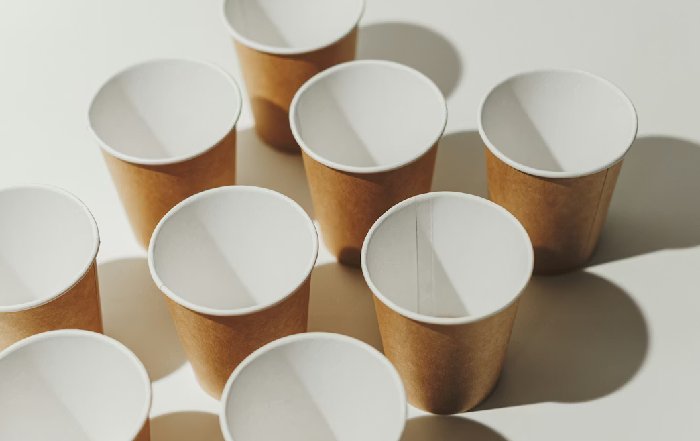 Article Image for Alternatives to Single-Use Plastics