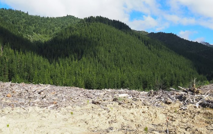 Article Image for Biodiversity Loss and Economic Consequences