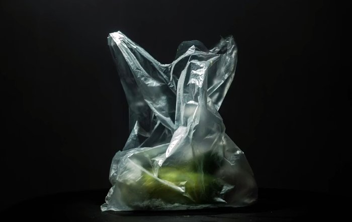 Article Image for Breaking Free from Plastic Dependency