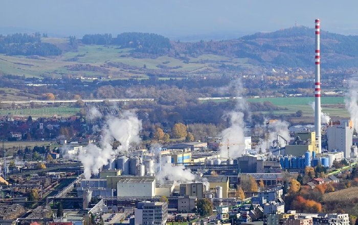 Article Image for Carbon Offsetting: Pros and Cons
