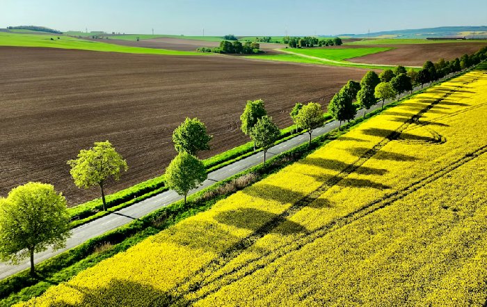 Article Image for Community-Supported Agriculture Explained
