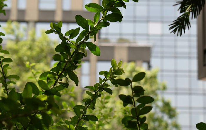 Article Image for Corporate Responsibility in Sustainable Development