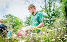 Article Image for Creating a Wildlife-Friendly Garden in Urban Spaces