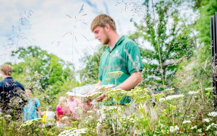 Article Image for Creating a Wildlife-Friendly Garden in Urban Spaces