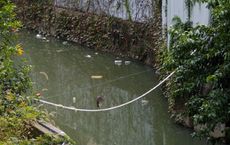 Article Image for Ending Plastic Pollution in Southeast Asia's Rivers