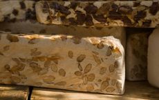 Article Image for Fermentation as a Sustainable Food Practice