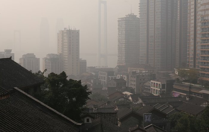 Article Image for Global Trends in Environmental Policy