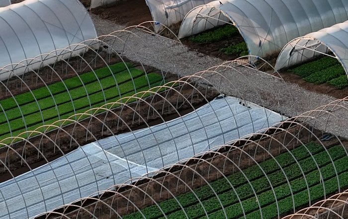 Article Image for Green Bonds and Sustainable Infrastructure