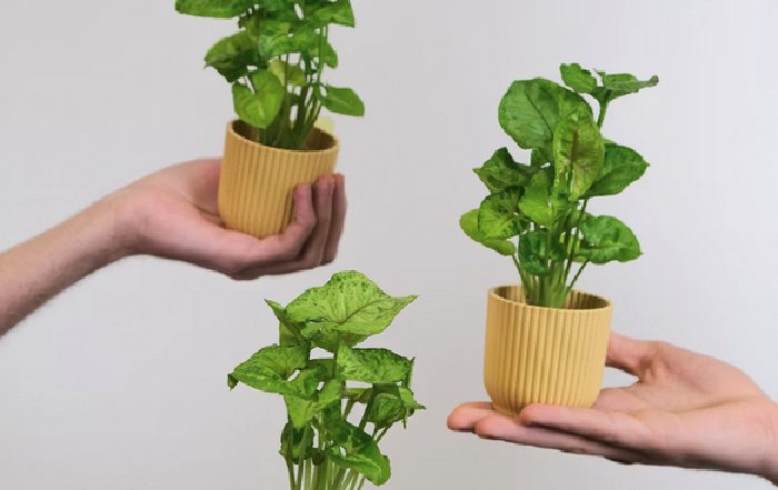 Article Image for Guide to Supporting Sustainable Startups