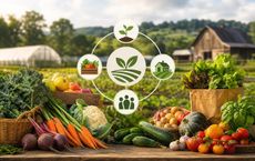Article Image for How Seasonal Organic Eating Supports Local Food Systems