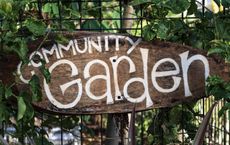 Article Image for How to Advocate for Sustainable Policies in Your Community