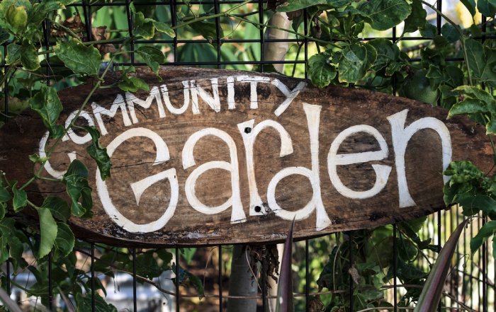 Article Image for How to Advocate for Sustainable Policies in Your Community