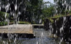 Article Image for How to Build a Rain Garden for Stormwater Management