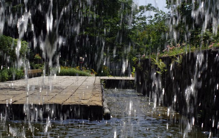 Article Image for How to Build a Rain Garden for Stormwater Management