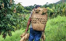 Article Image for How to Find Fair Trade and Organic Products