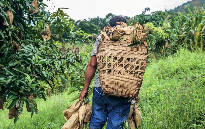 Article Image for How to Find Fair Trade and Organic Products