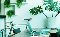 Article Image for How to Make Your Workplace More Sustainable