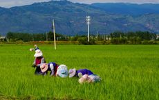 Article Image for How to Support Local Organic Farmers