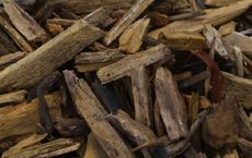 Article Image for Identifying Truly Compostable Materials