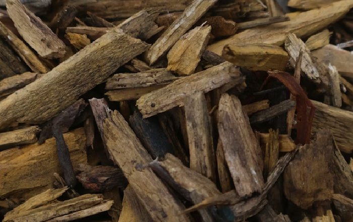 Article Image for Identifying Truly Compostable Materials