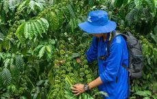 Article Image for Implementing Sustainability in Small Businesses
