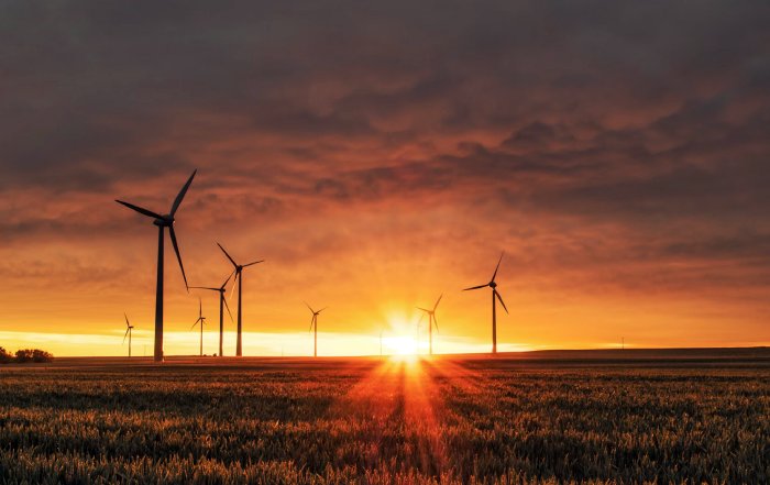 Article Image for Investing in Renewable Energy with a Purpose: Business Cases That Deliver
