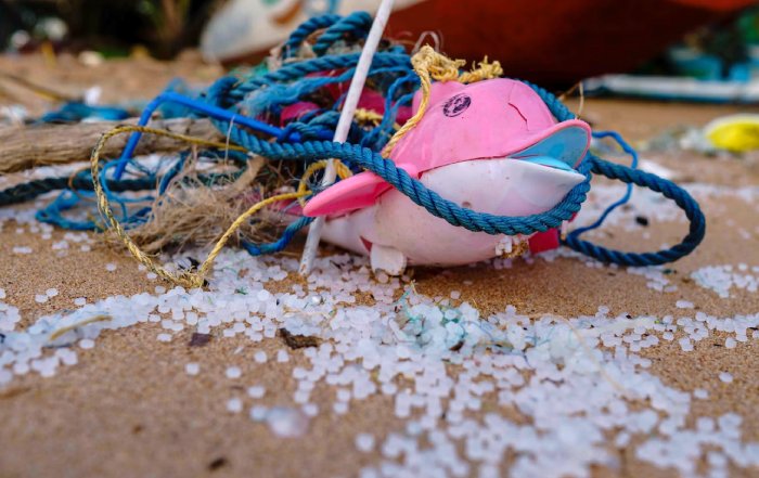 Article Image for Microplastics in the Food Chain: What We Know