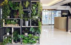 More World Environment Care Is Needed