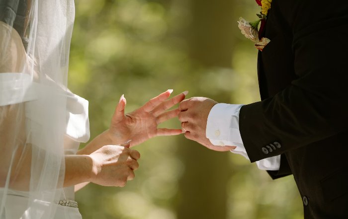 Article Image for Planning a Zero-Waste Wedding
