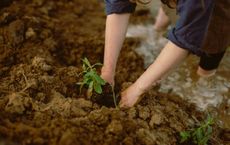 Article Image for Social Entrepreneurship and Environmental Goals
