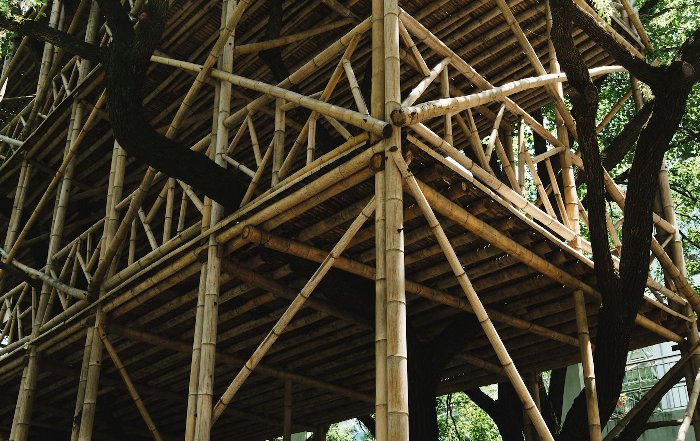 Article Image for Sustainable Architecture and Green Building