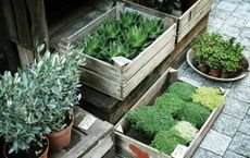 Article Image for Sustainable Gardening Tips for Small Spaces