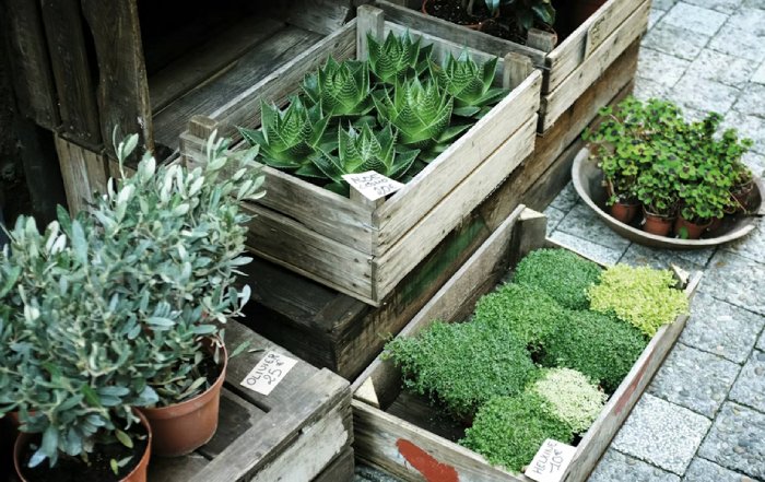 Article Image for Sustainable Gardening Tips for Small Spaces