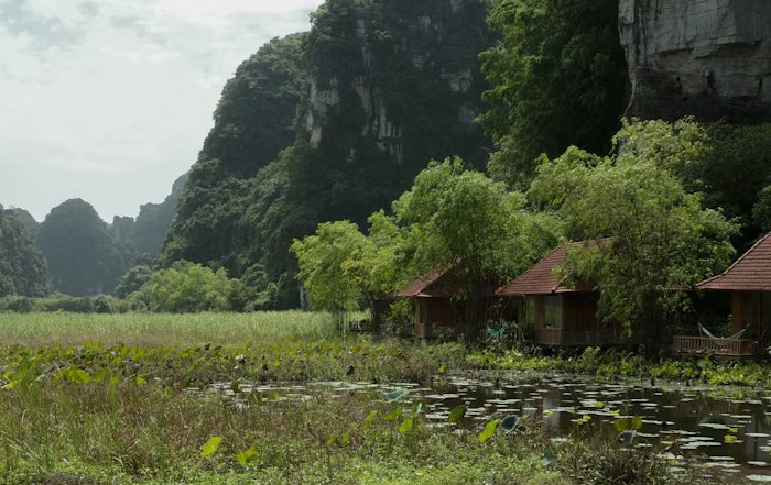Article Image for Sustainable Tourism in Fragile Ecosystems