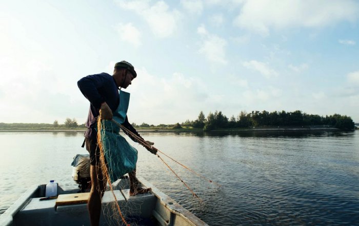 Article Image for The Benefits of Sustainable Fishing Practices