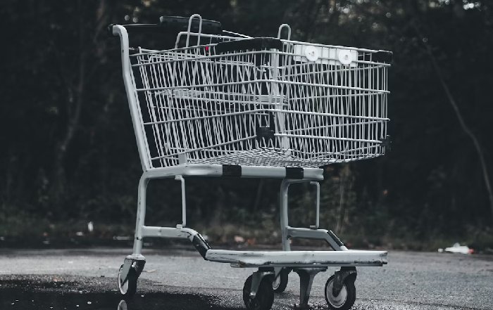 Article Image for The Cost of Living Sustainably