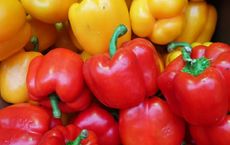 Article Image for The Health Benefits of Eating Local and Organic