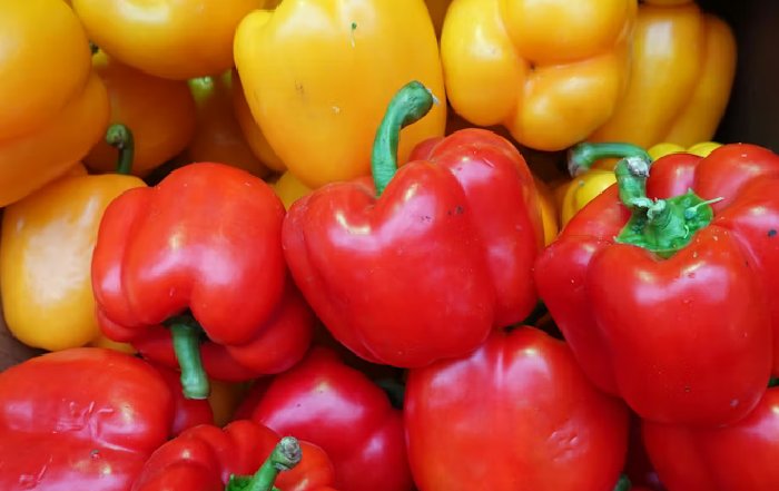 Article Image for The Health Benefits of Eating Local and Organic