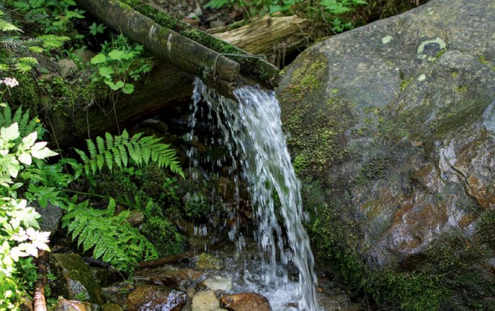 Article Image for The Importance of Clean Water Conservation