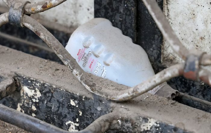 Article Image for The Lifecycle of a Plastic Bottle