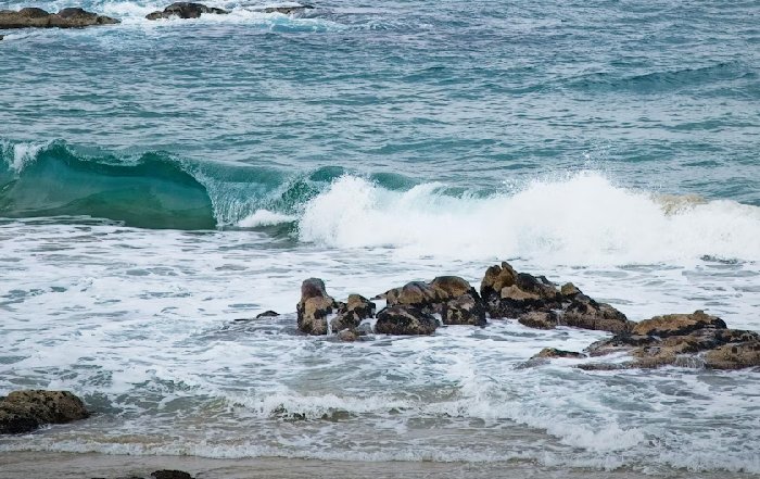 Article Image for The Truth About Ocean Acidification