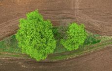 Article Image for Understanding Environmental Justice and Equity