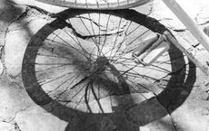 Article Image for Understanding the Circular Economy