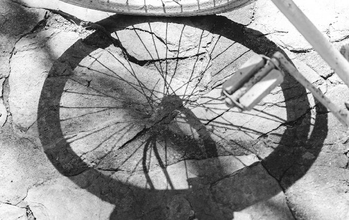 Article Image for Understanding the Circular Economy
