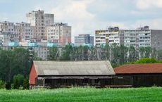 Article Image for Urban Farming Initiatives in Major Cities