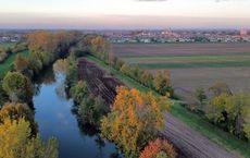 Article Image for Wetland Preservation for Flood Control and Wildlife