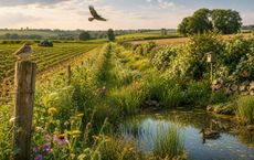 Article Image for Wildlife Conservation Strategies for Agricultural Landscapes