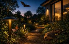 Article Image for Wildlife-Friendly Lighting for Homes and Gardens